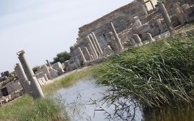 Apollon Hotel